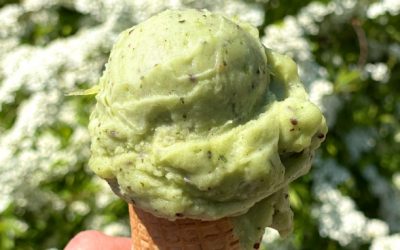 The vegan ice cream flavours for the Berlin Ice Cream Week 2022