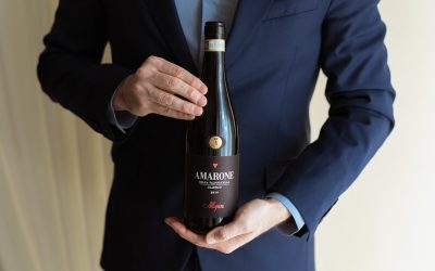 Allergini: passion, tradition and innovation in the heart of Valpolicella wine-producing area