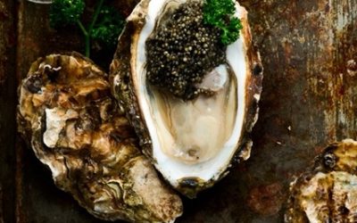 Caviar and Oysters to toast a new year of Taste!